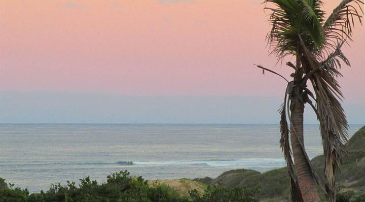 Gary Rowan's Beach and Birding Mozambique Photographic Safari