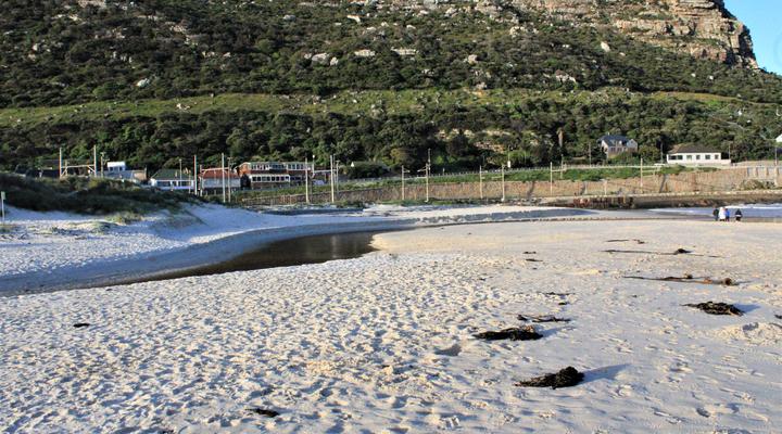 South Shore Harrier 202