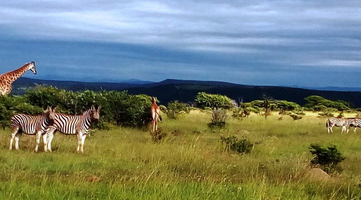 Weenen Country Cottage