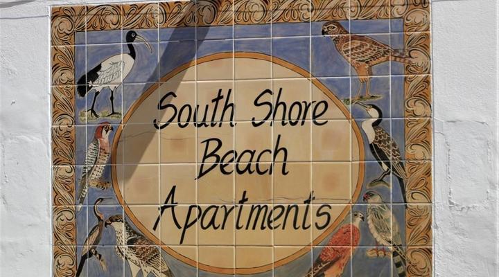 South Shore Harrier 202