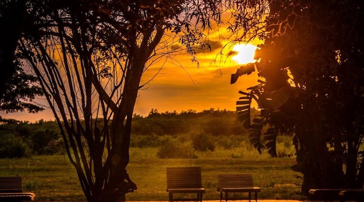 Honeyguide Ranger Camp
