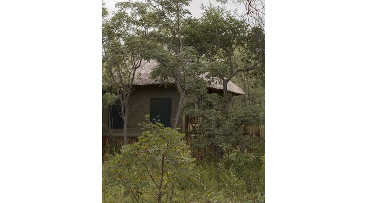 Honeyguide Ranger Camp