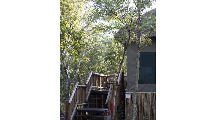 Honeyguide Ranger Camp