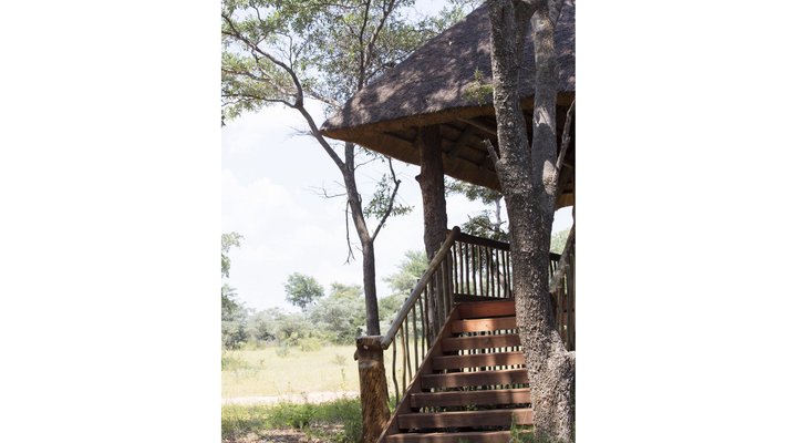Honeyguide Ranger Camp