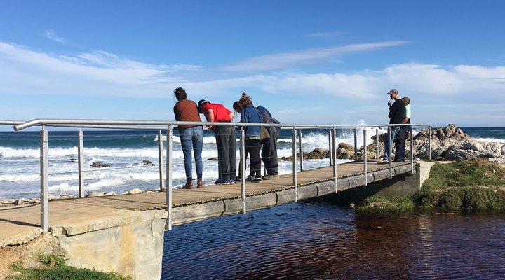 Brower Holiday House