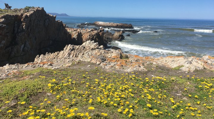 Brower Holiday House