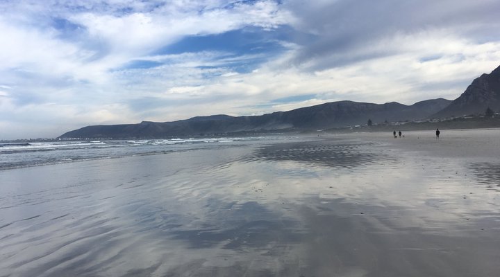 Brower Holiday House