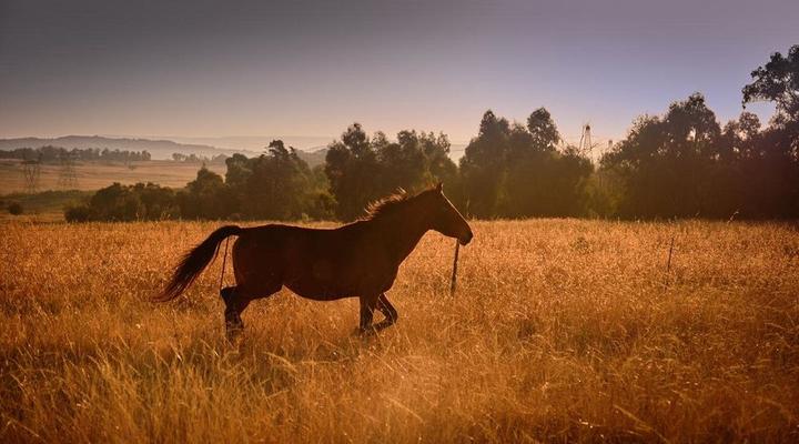 O'Grady's Accommodation