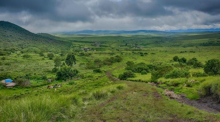 Pakulala Safari Camp