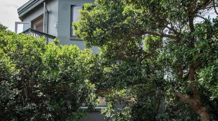 Seafoam in Kommetjie