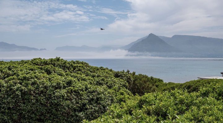 Seafoam in Kommetjie