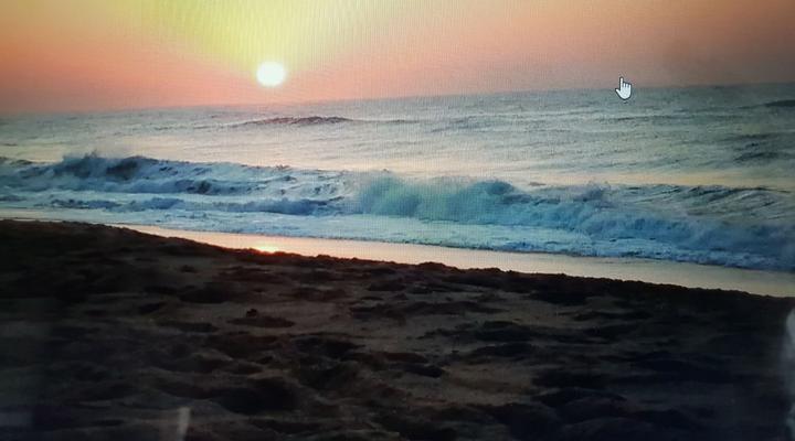 Cabanas On The Beach