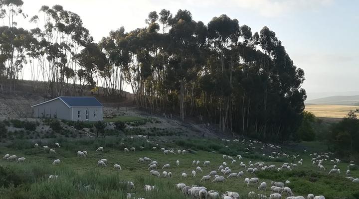 Treyntjes Rivier Cottages