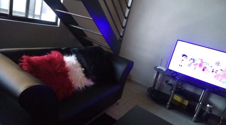 Rosebank Accommodation 134 106