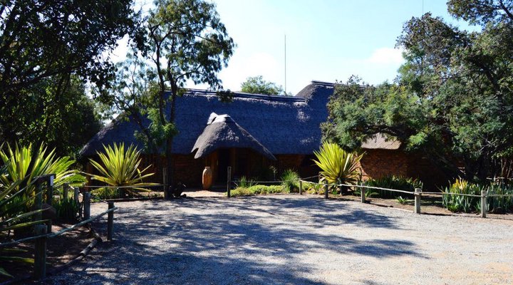 WagonDrift Lodge