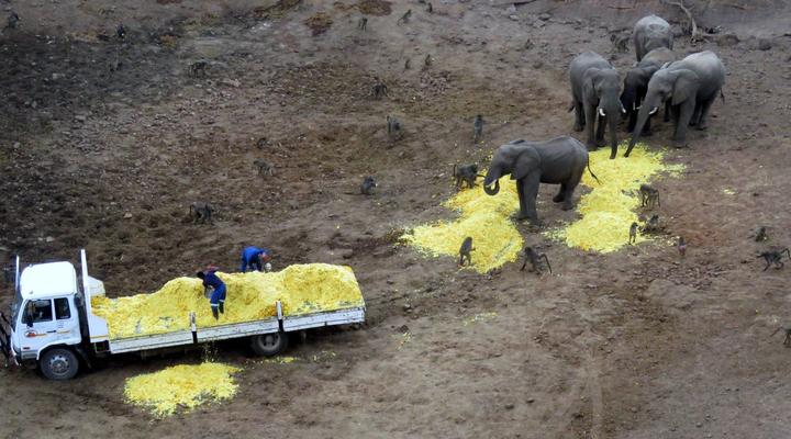 Nottingham Fishing Retreat