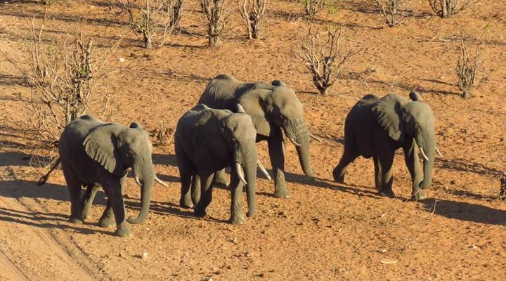 Nottingham Fishing Retreat