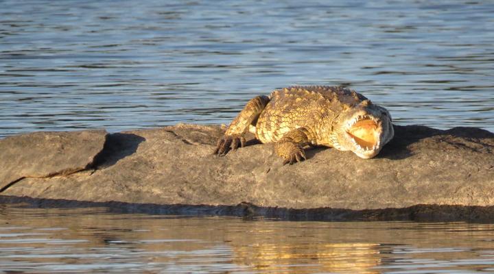 Nottingham Fishing Retreat