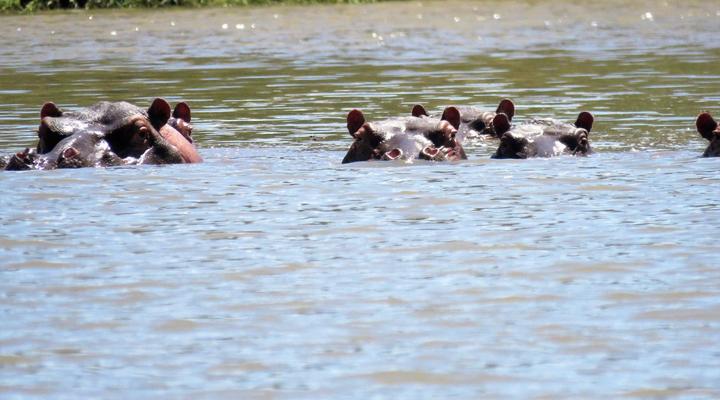 Nottingham Fishing Retreat