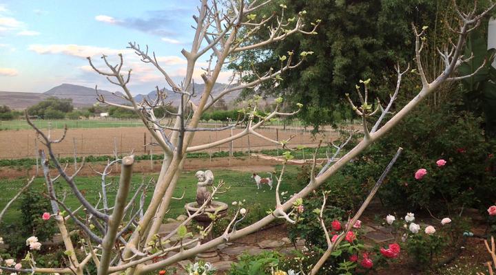 Laasteskof - The end of the road