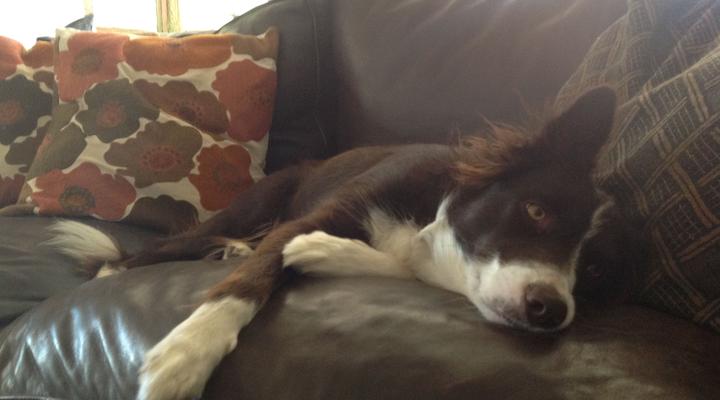 Laasteskof - The end of the road