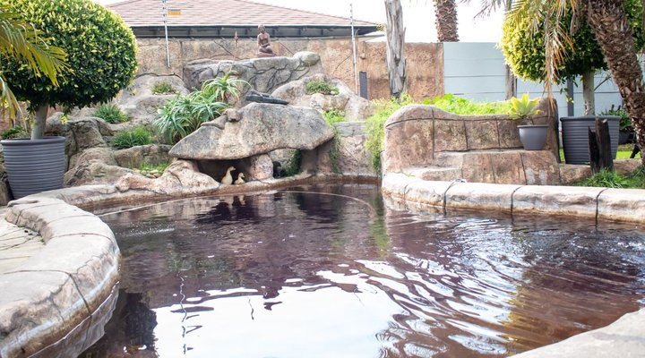 Balmoral Luxury Lodge