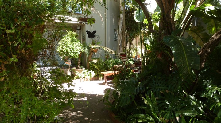 Springbok Apartment