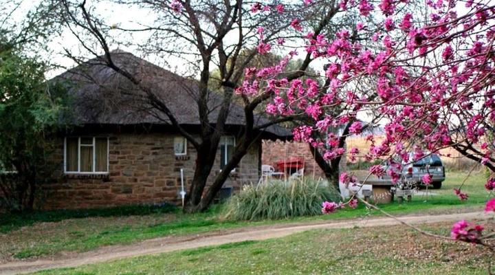 Badfontein Guest Farm and camping