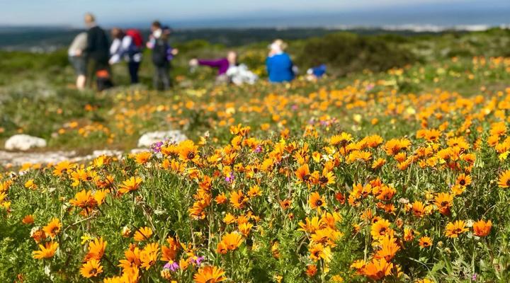 Rooisee Beach Cottage