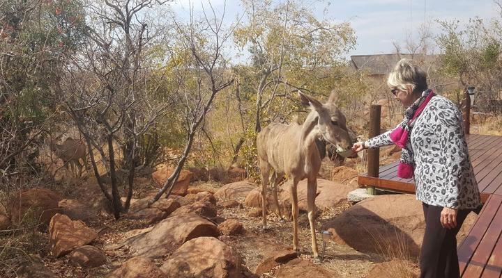 Elandsfontein 21, Mabalingwe