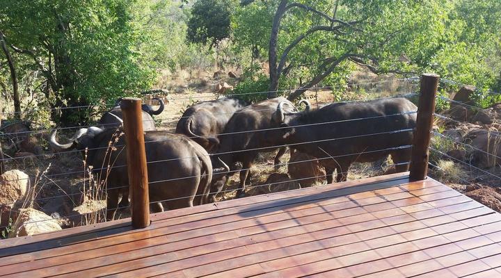 Elandsfontein 21, Mabalingwe