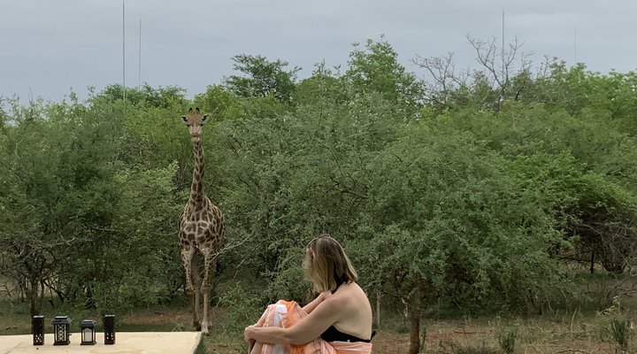 Giraffes Bush Villa