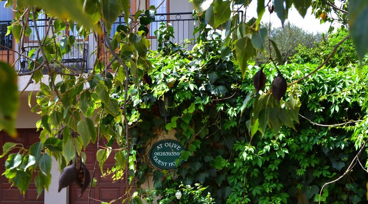 At Olive Guesthouse