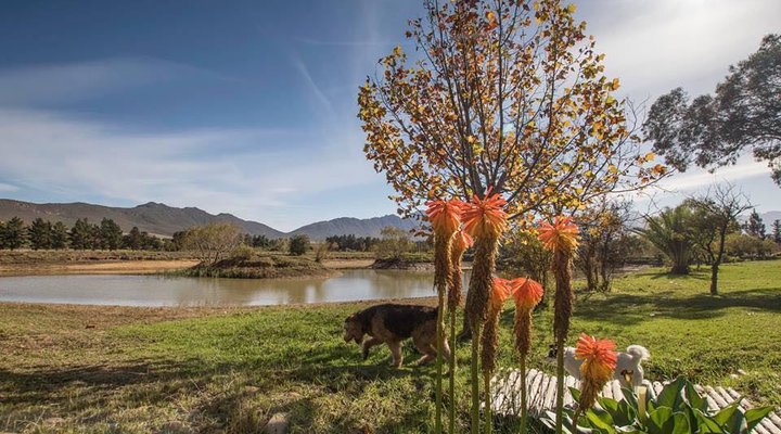 Kloofzicht Estate Country House