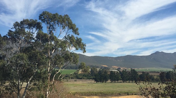 Kloofzicht Estate Country House