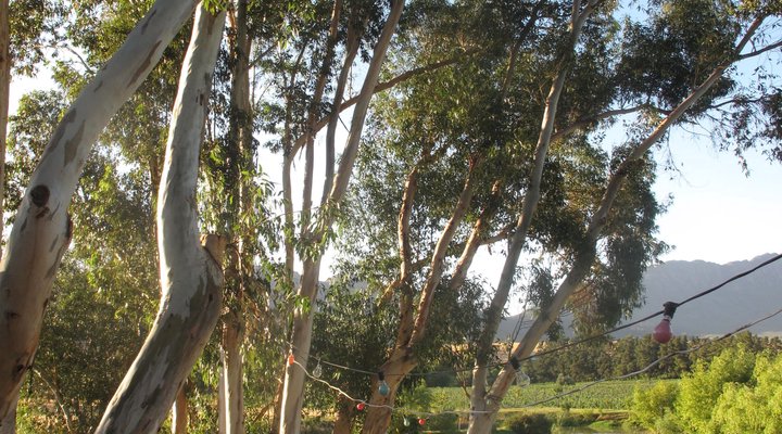 Kloofzicht Estate Country House