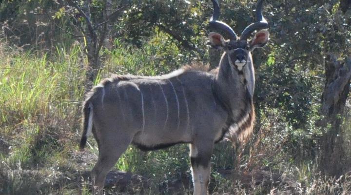 Elandsvlei Estate Chalet