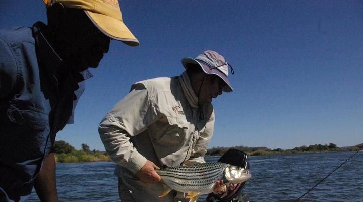 Sundowner Zambezi Lodge