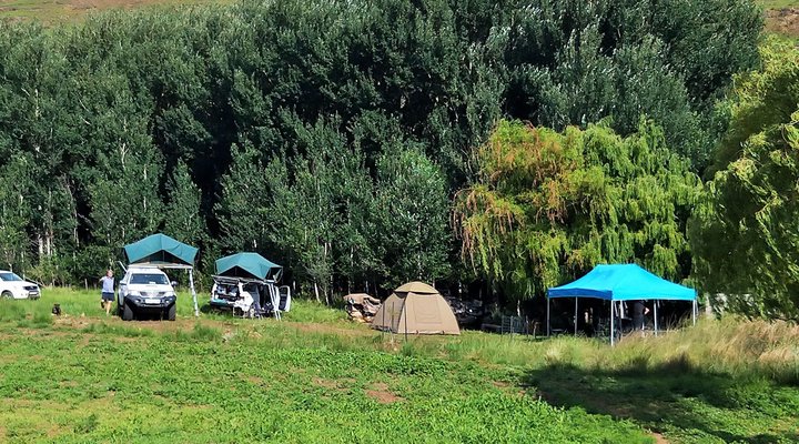 Alpine Swift Camping