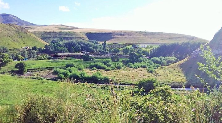 Alpine Swift Camping