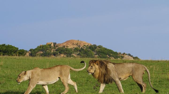 Nkomazi Private Game Reserve