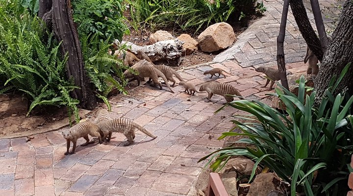 Mabalingwe Nature Reserve Self-catering House