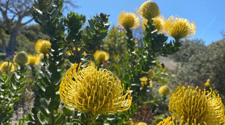 Signature Lodge 3 @ Pinnacle Point Golf Estate