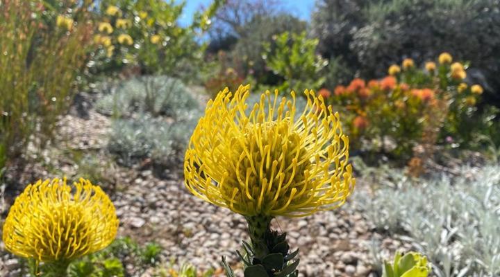 Signature Lodge 3 @ Pinnacle Point Golf Estate