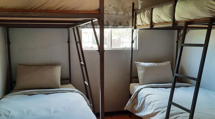 Bosveld Wegbreek Safaris