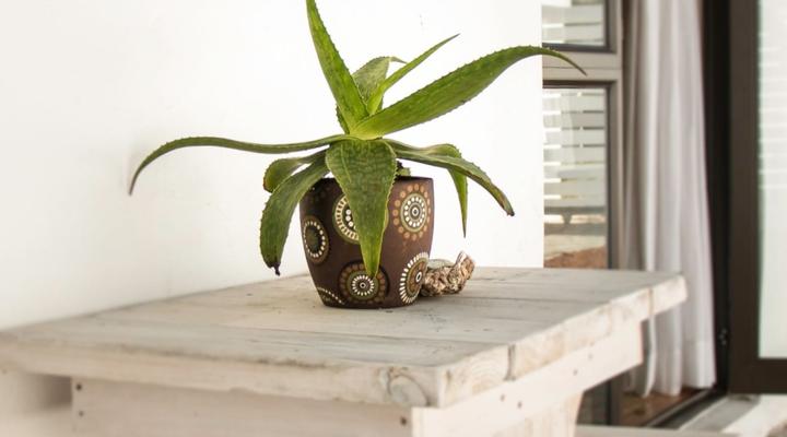 Cottage on College - The Cottage (2 Sleeper) 