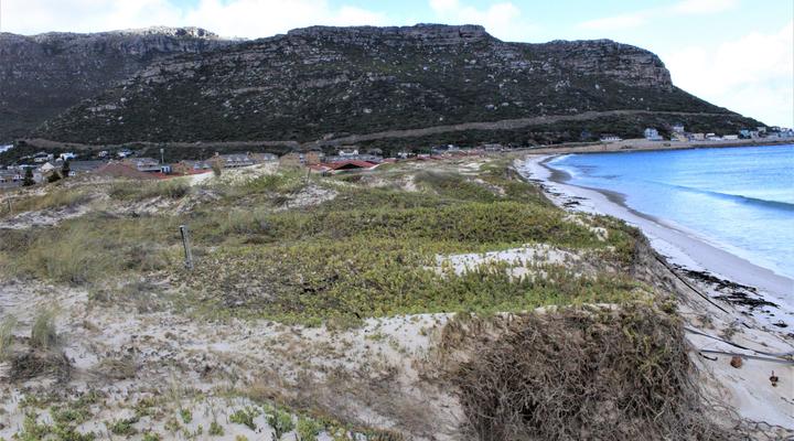 South Shore Harrier 202