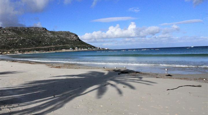 South Shore Harrier 202