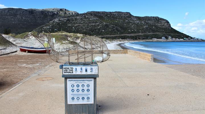 South Shore Harrier 202