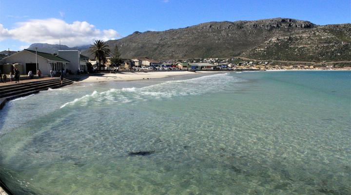 South Shore Harrier 202